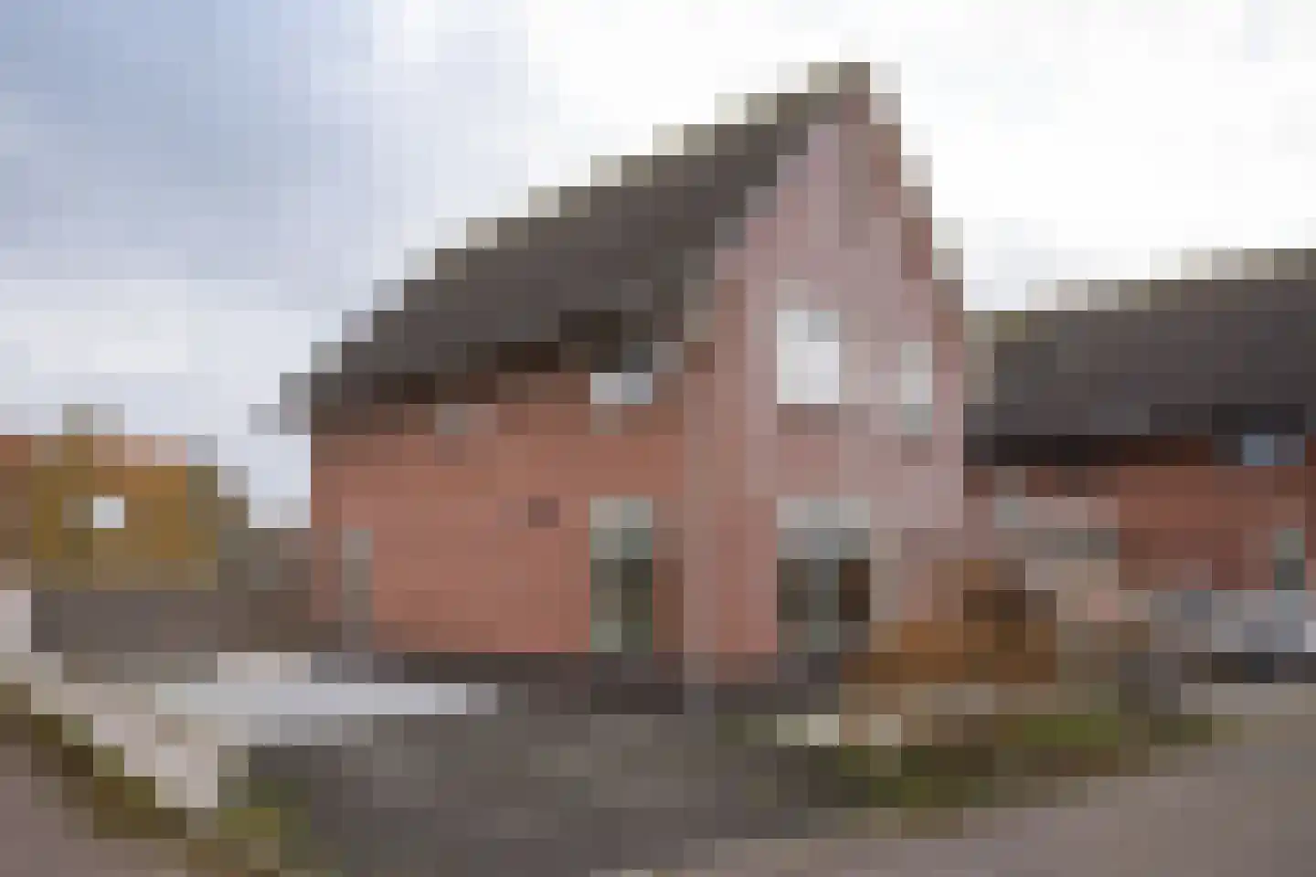 Brouwerssteeg 2 Makkum thumbnail 6