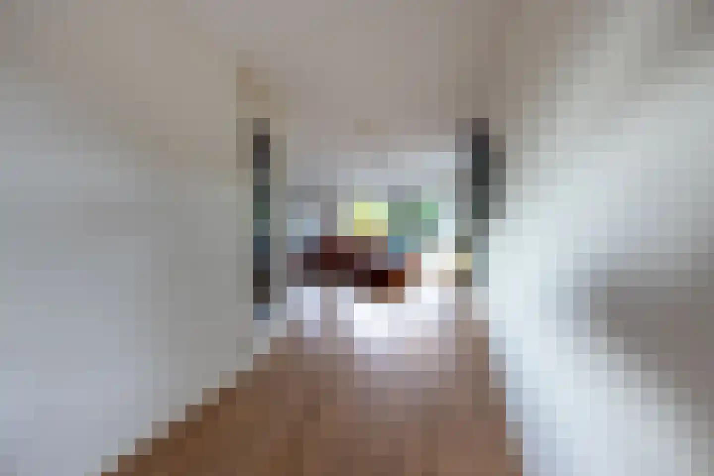 Brouwerssteeg 2 Makkum thumbnail 8