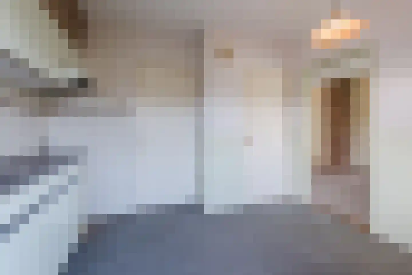 Brouwersstraat 12 Dalfsen thumbnail 16