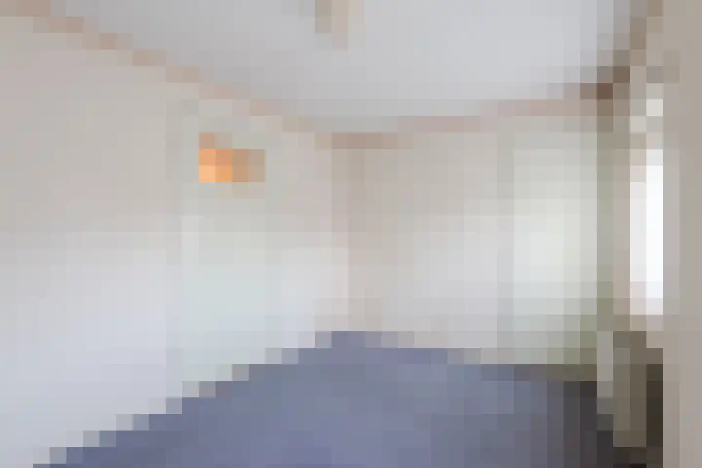 Brouwersstraat 12 Dalfsen thumbnail 22