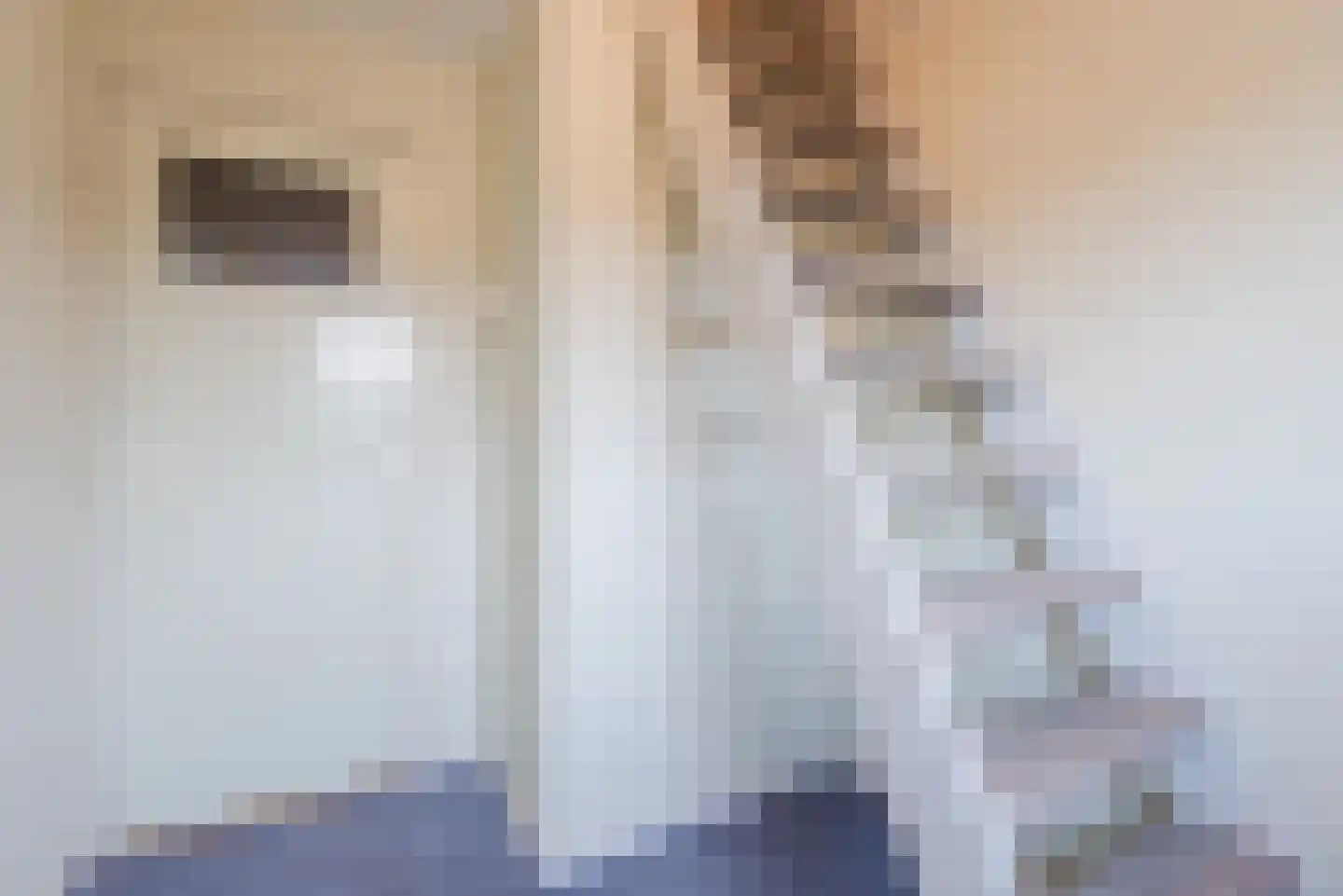 Brouwersstraat 12 Dalfsen thumbnail 32