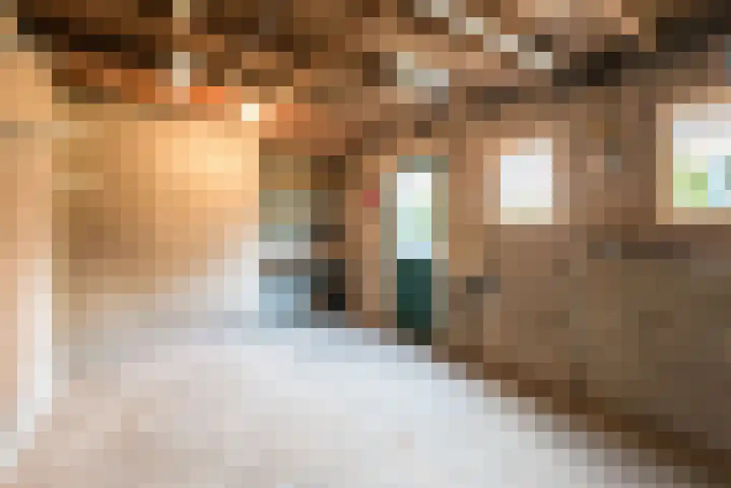 Brouwersstraat 12 Dalfsen thumbnail 41