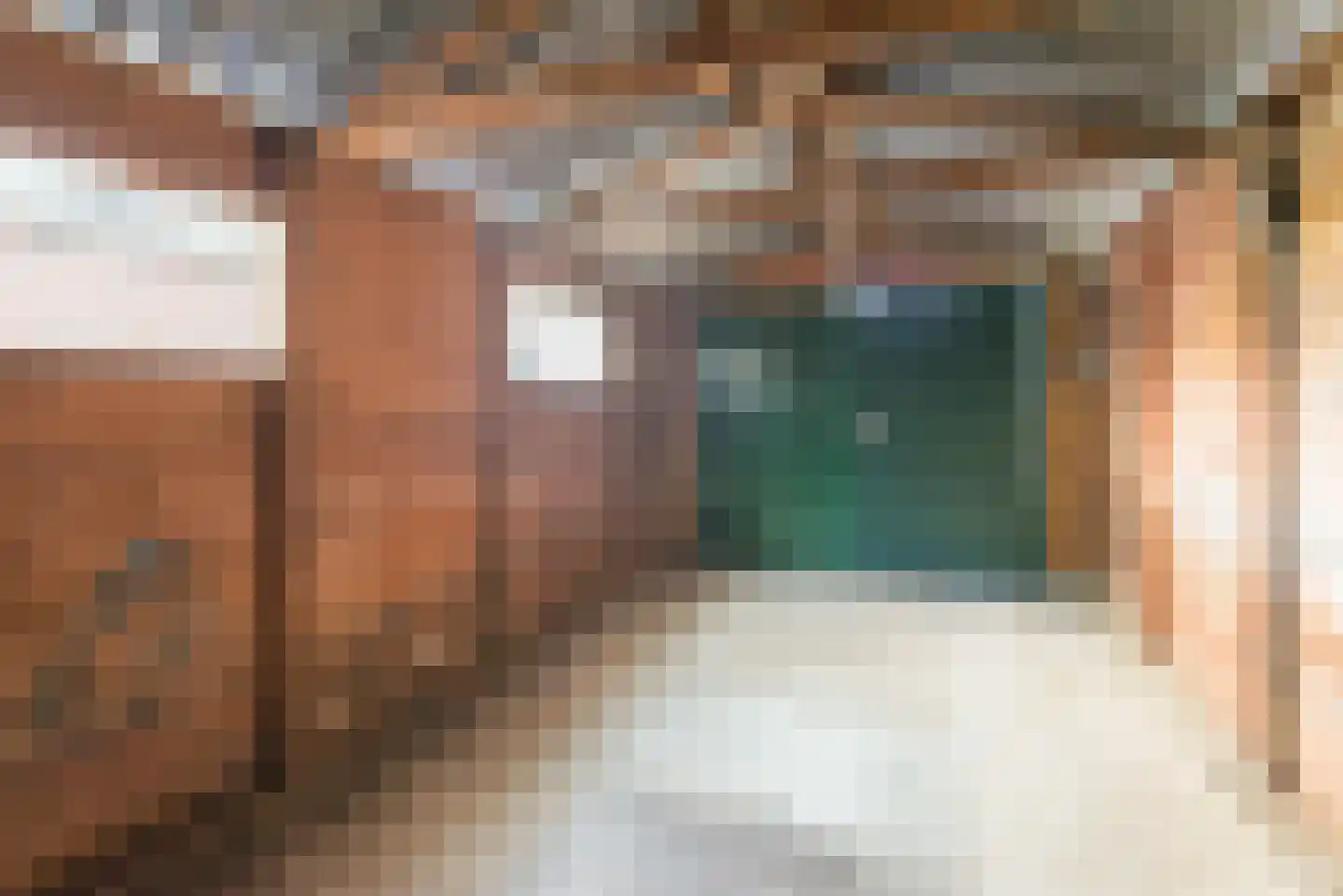 Brouwersstraat 12 Dalfsen thumbnail 43