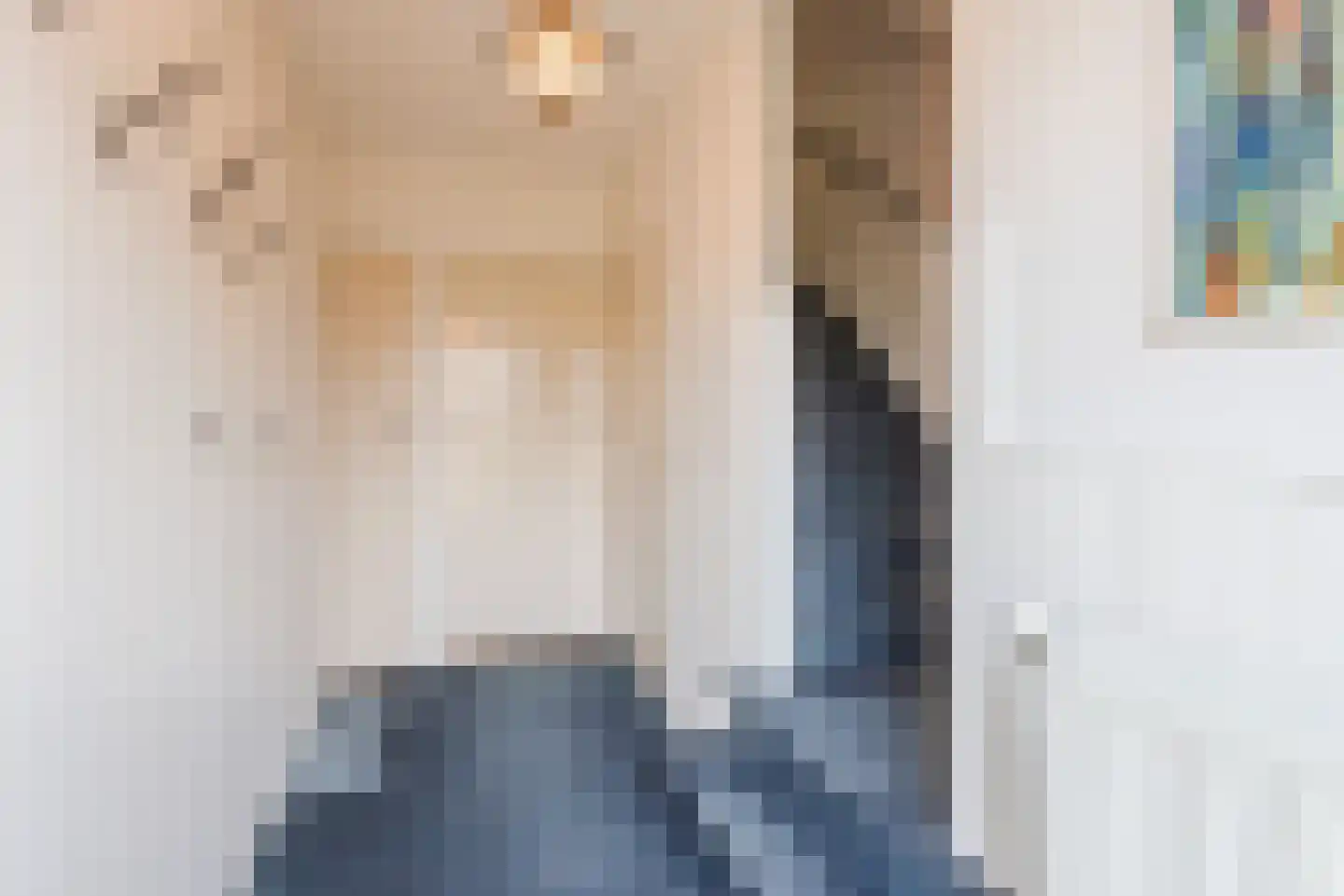 Brouwersstraat 12 Dalfsen thumbnail 7