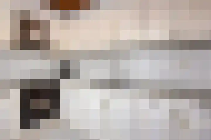 Brouwersstraat 14 Beugen thumbnail 14