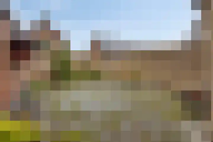 Brouwersstraat 14 Beugen thumbnail 28