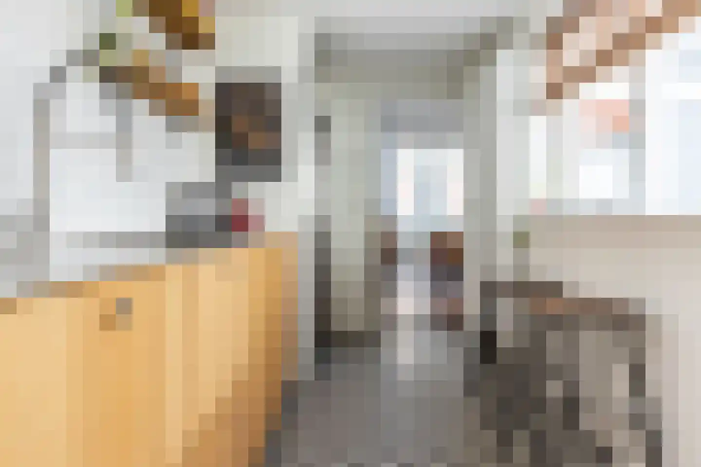 Brouwersstraat 27 Haarlem thumbnail 12
