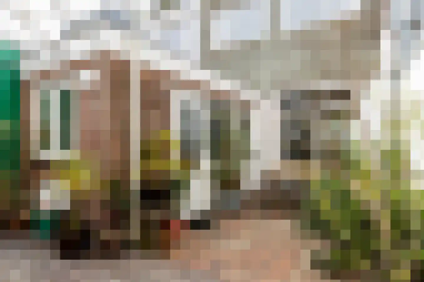 Brouwersstraat 27 Haarlem thumbnail 13