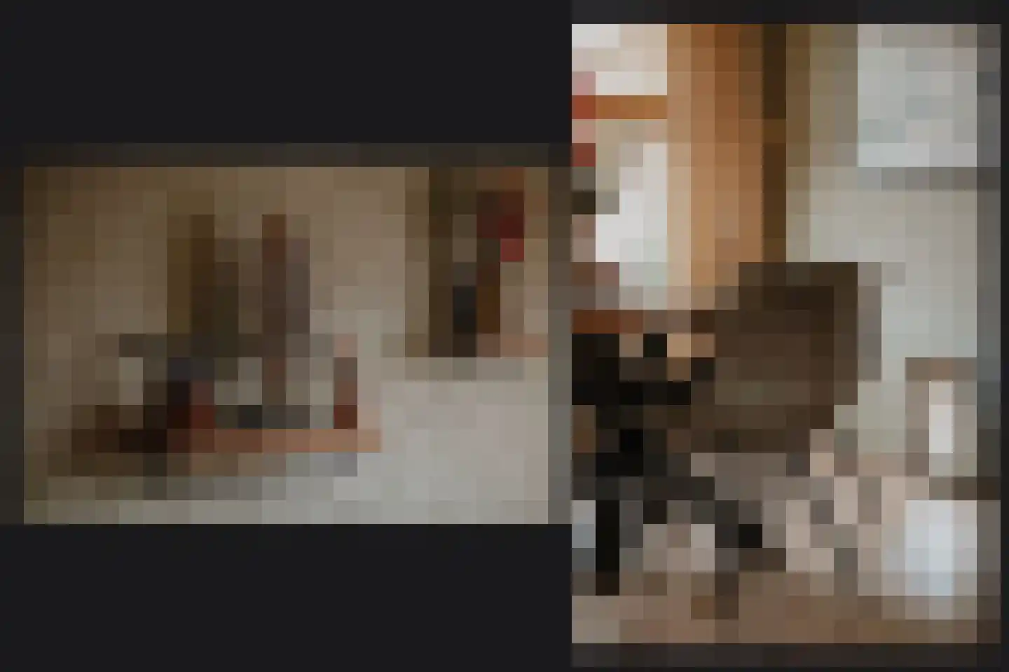 Brouwersstraat 28 Kerkdriel thumbnail 10