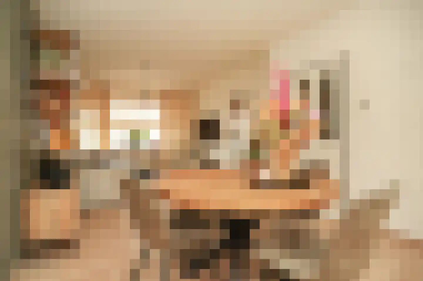 Brouwersstraat 28 Kerkdriel thumbnail 12