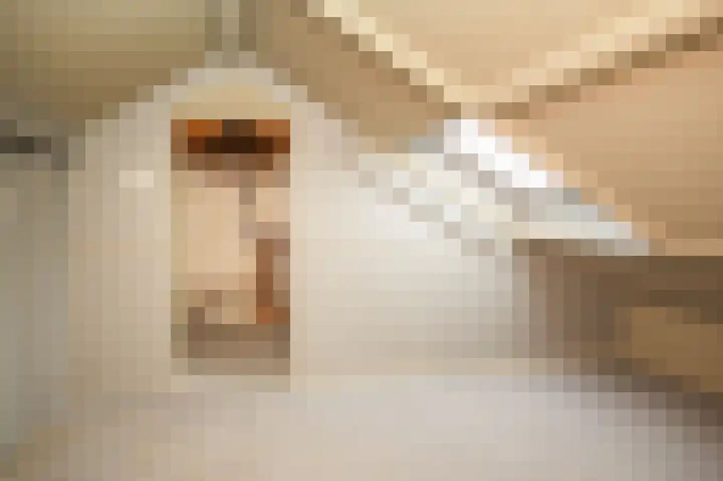 Brouwersstraat 28 Kerkdriel thumbnail 21