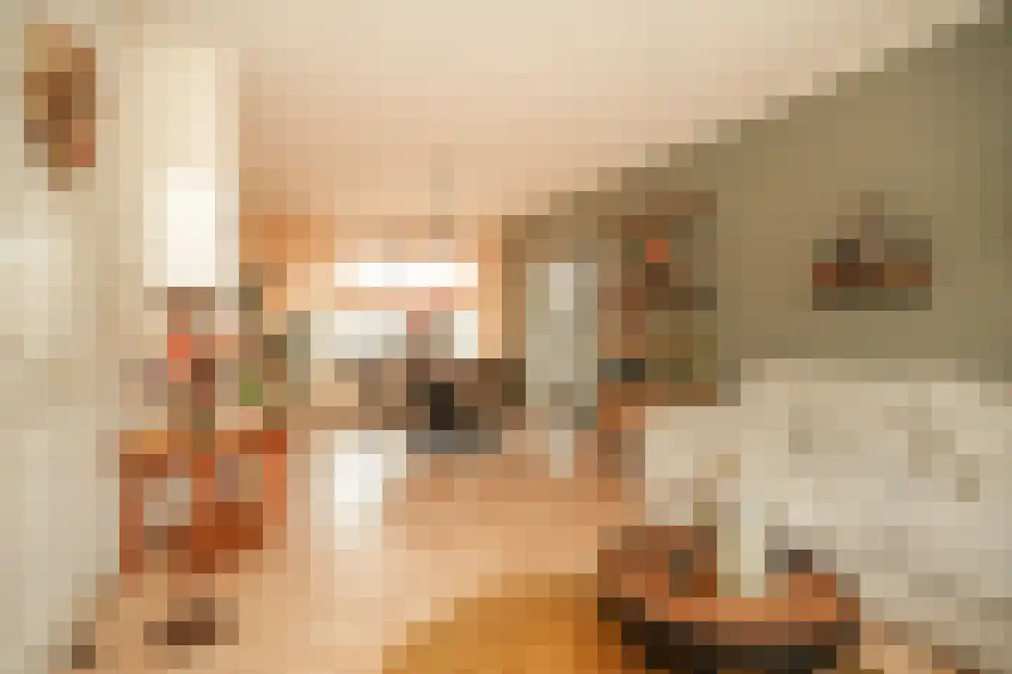 Brouwersstraat 28 Kerkdriel thumbnail 7