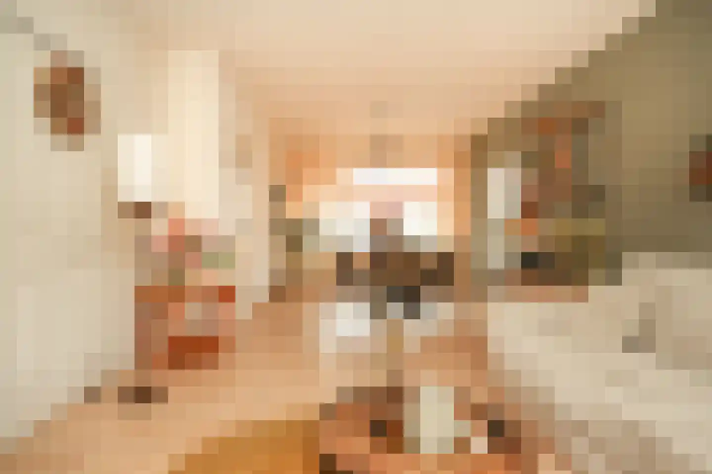 Brouwersstraat 28 Kerkdriel thumbnail 8
