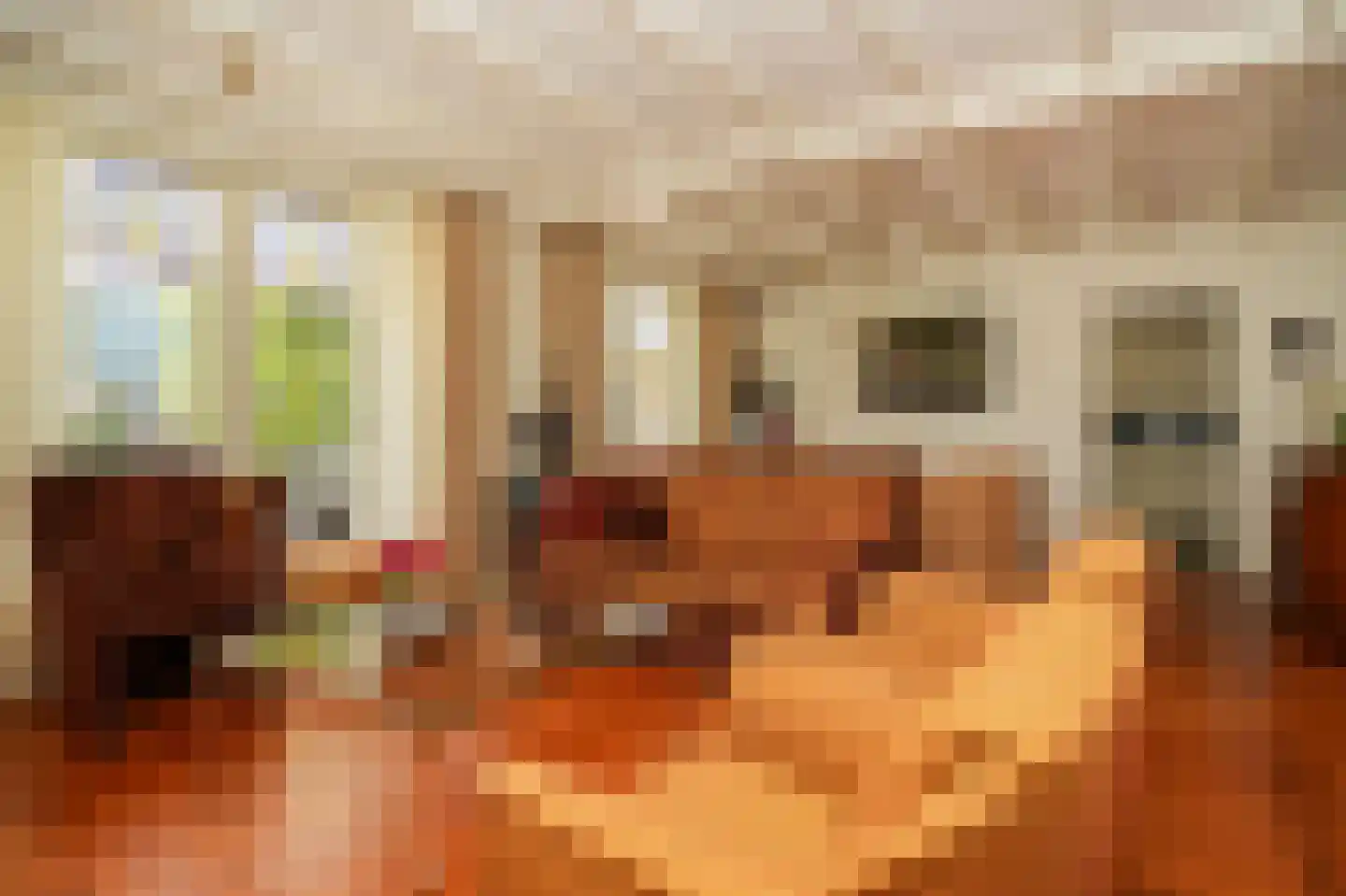 Brouwersstraat 32 Beneden-Leeuwen thumbnail 10