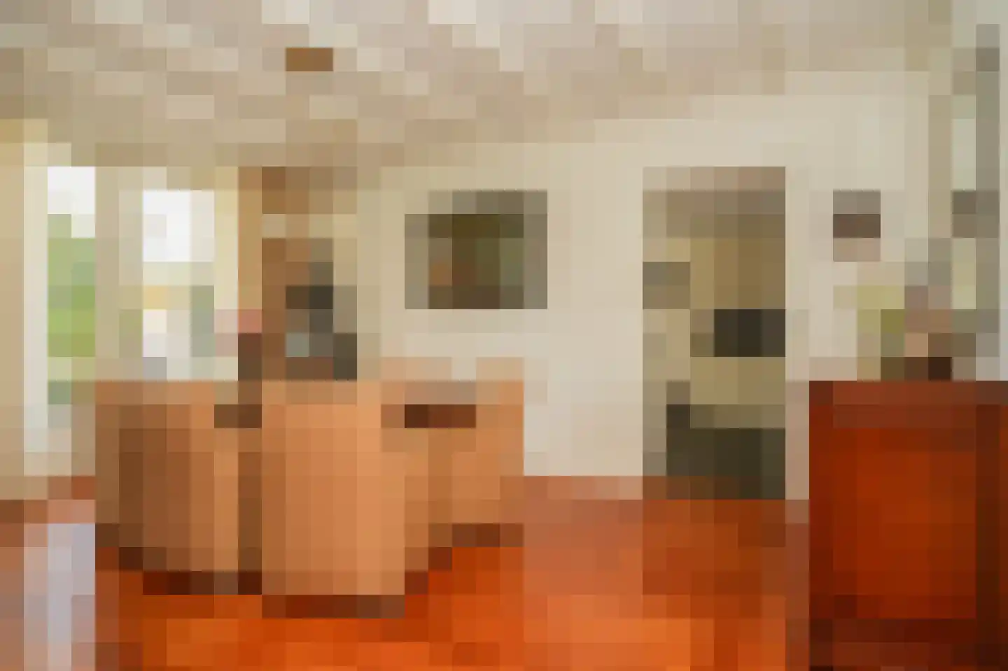Brouwersstraat 32 Beneden-Leeuwen thumbnail 13