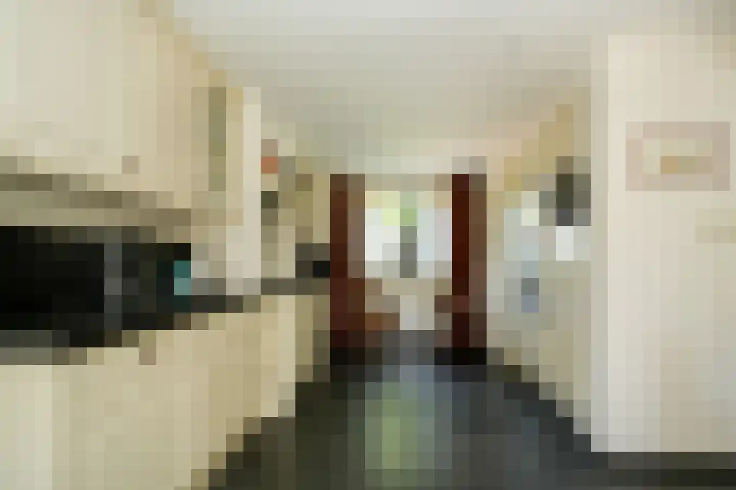 Brouwersstraat 32 Beneden-Leeuwen thumbnail 19