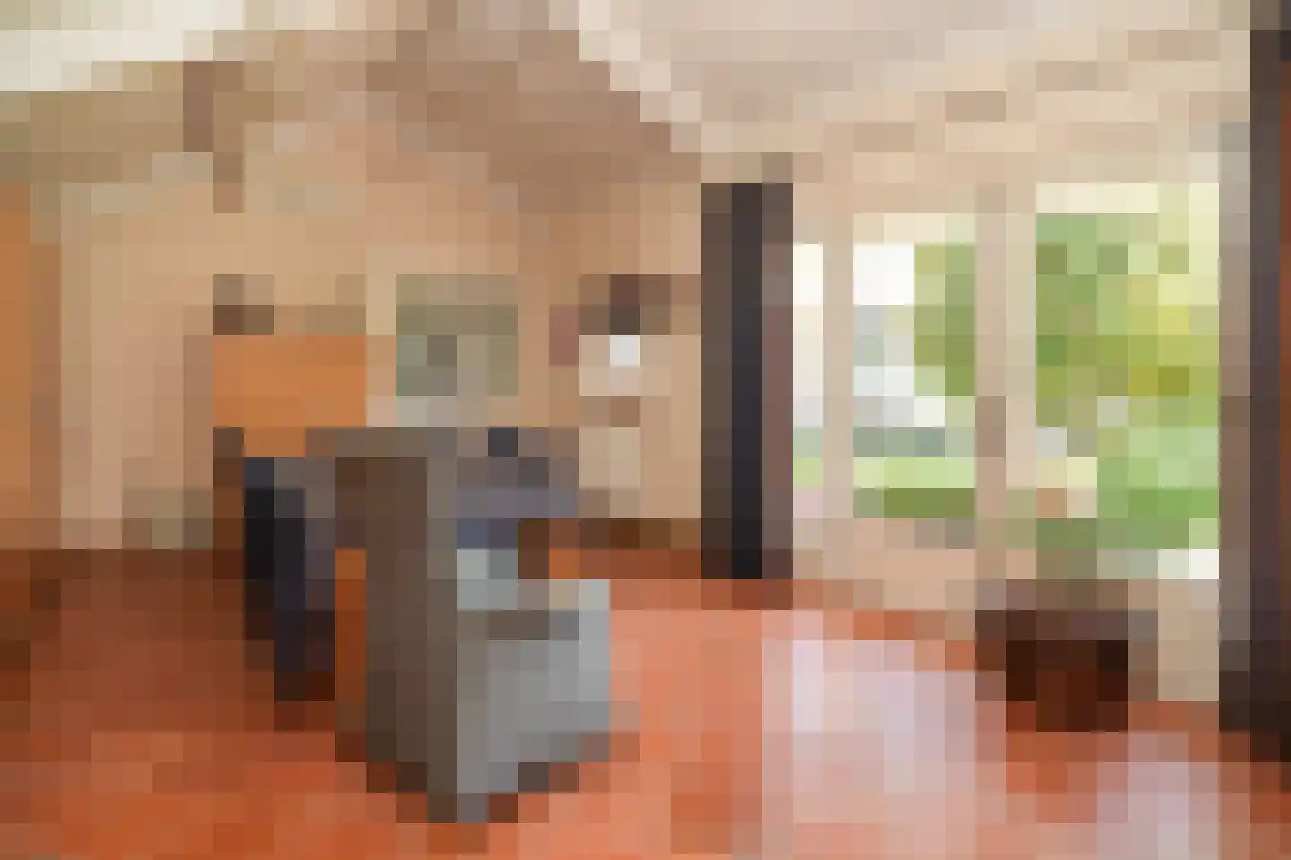 Brouwersstraat 32 Beneden-Leeuwen thumbnail 23