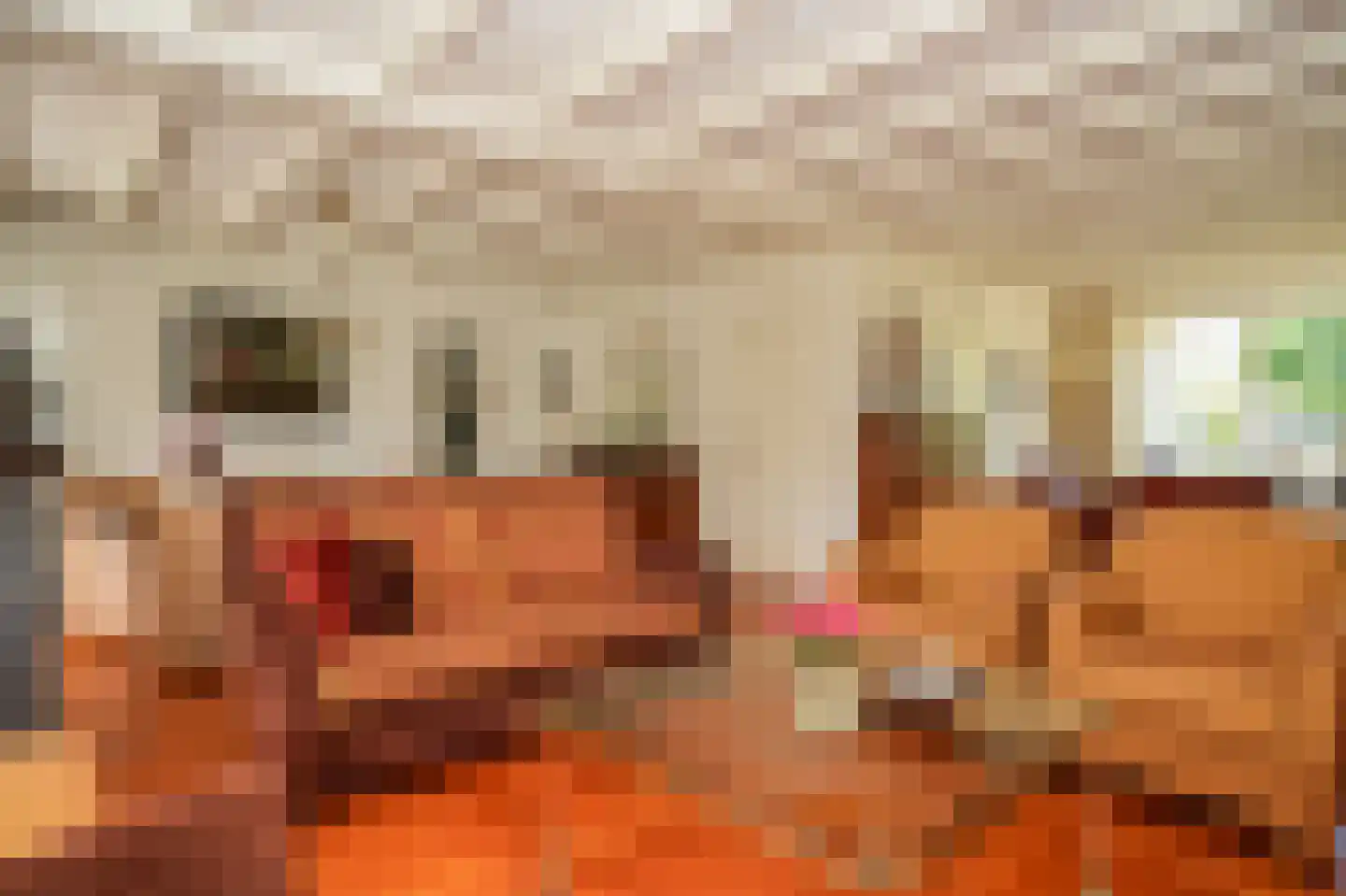 Brouwersstraat 32 Beneden-Leeuwen thumbnail 5