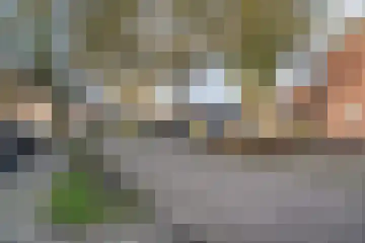 Brouwersstraat 34 Kerkdriel thumbnail 26