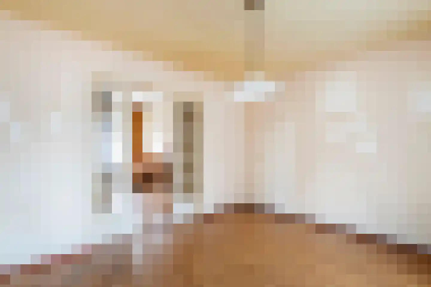 Brouwersstraat 5 Druten thumbnail 12