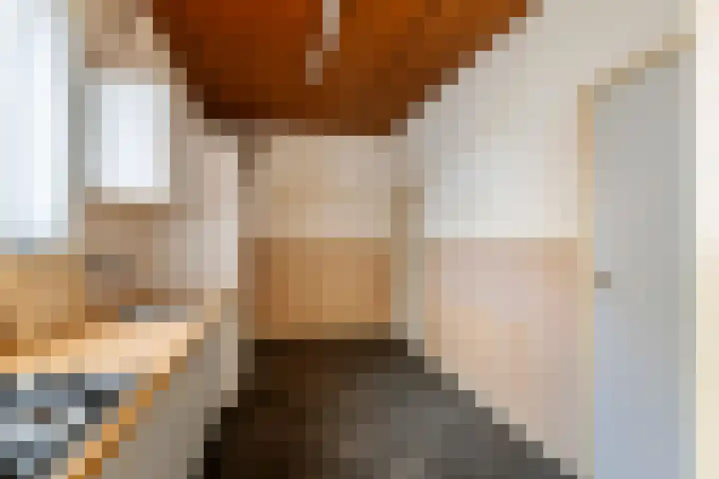 Brouwersstraat 5 Druten thumbnail 13