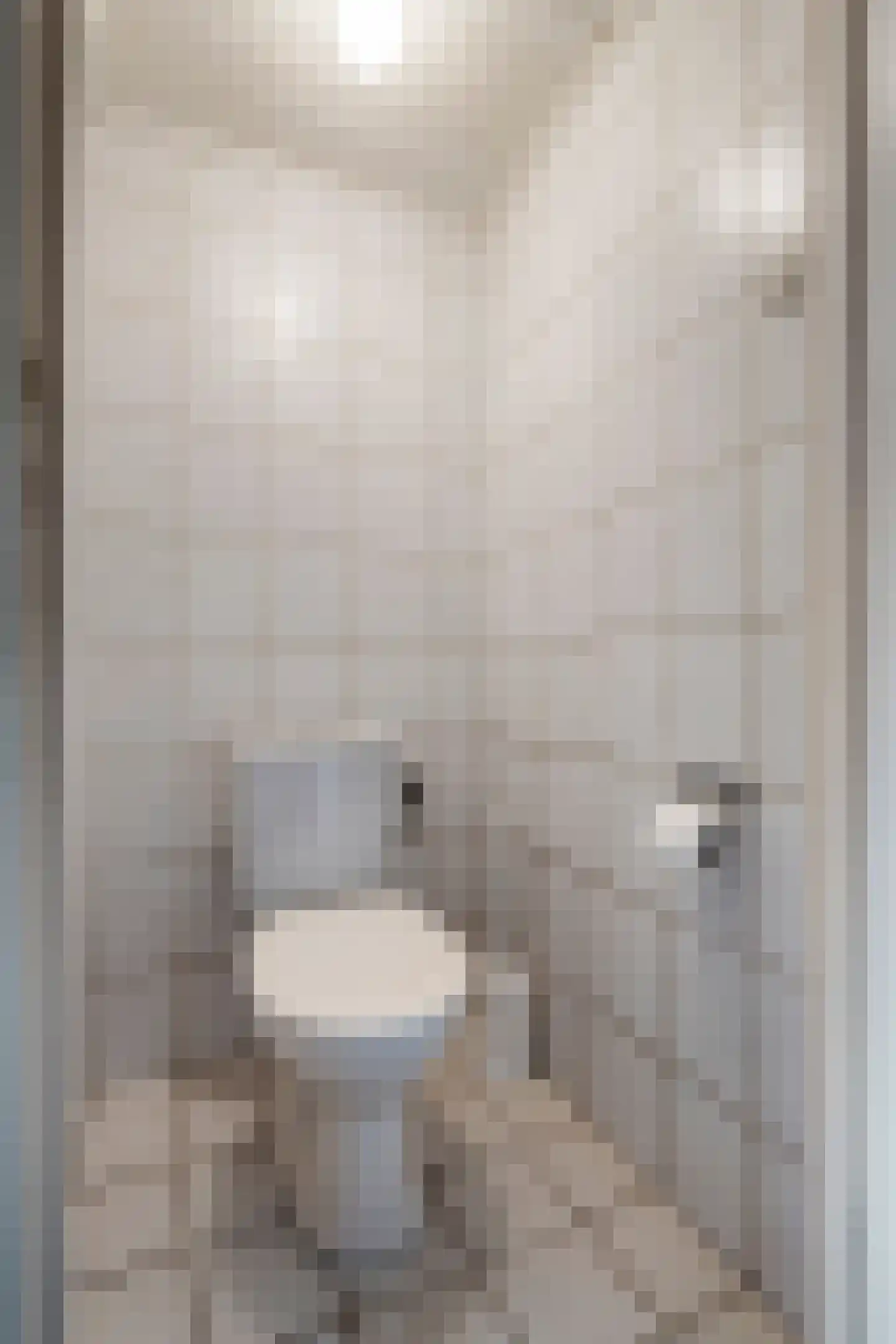 Brouwersstraat 5 Druten thumbnail 16