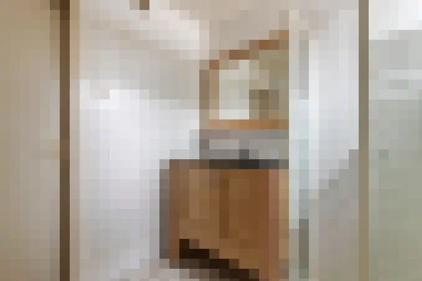 Brouwersstraat 5 Druten thumbnail 18