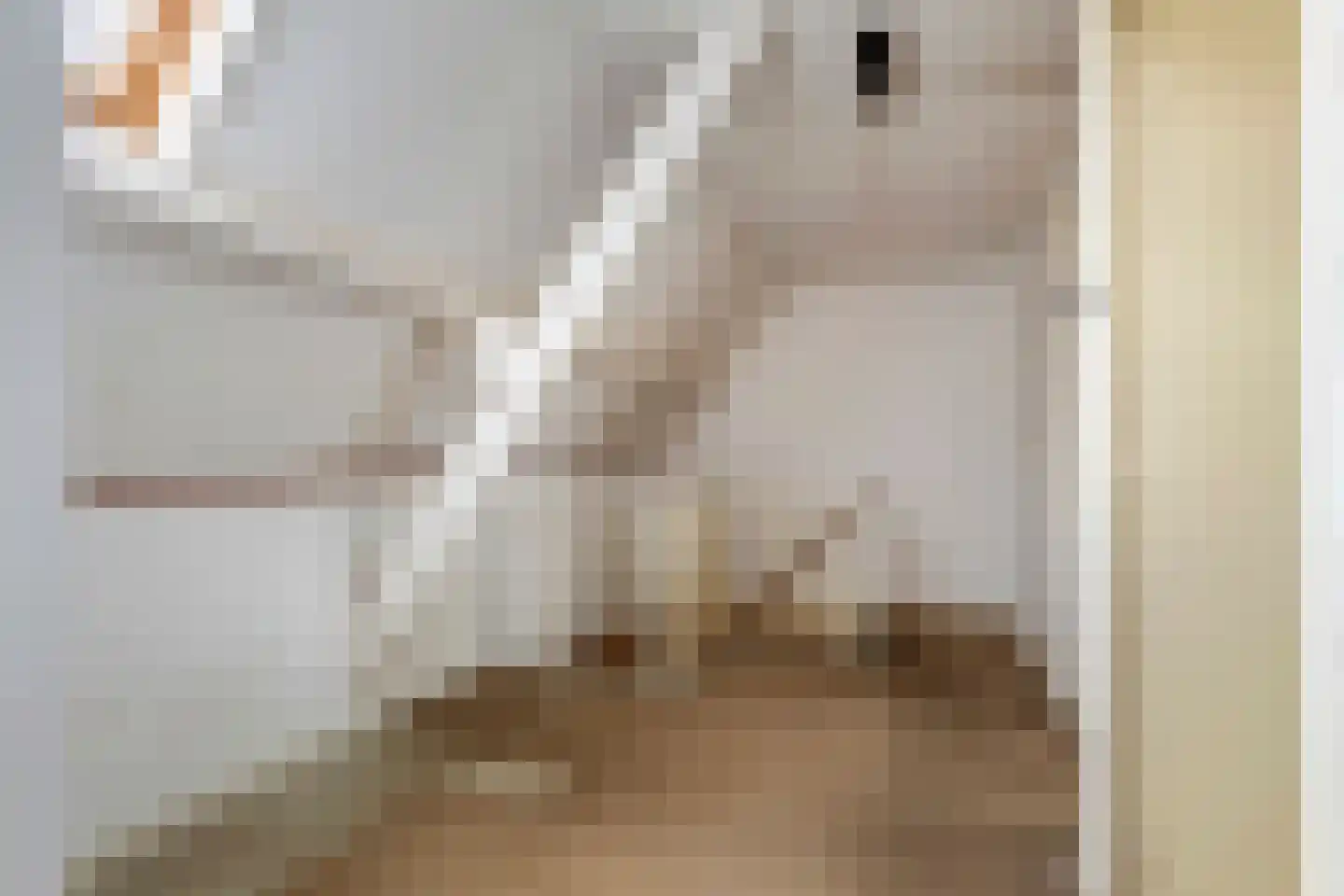Brouwersstraat 5 Druten thumbnail 22