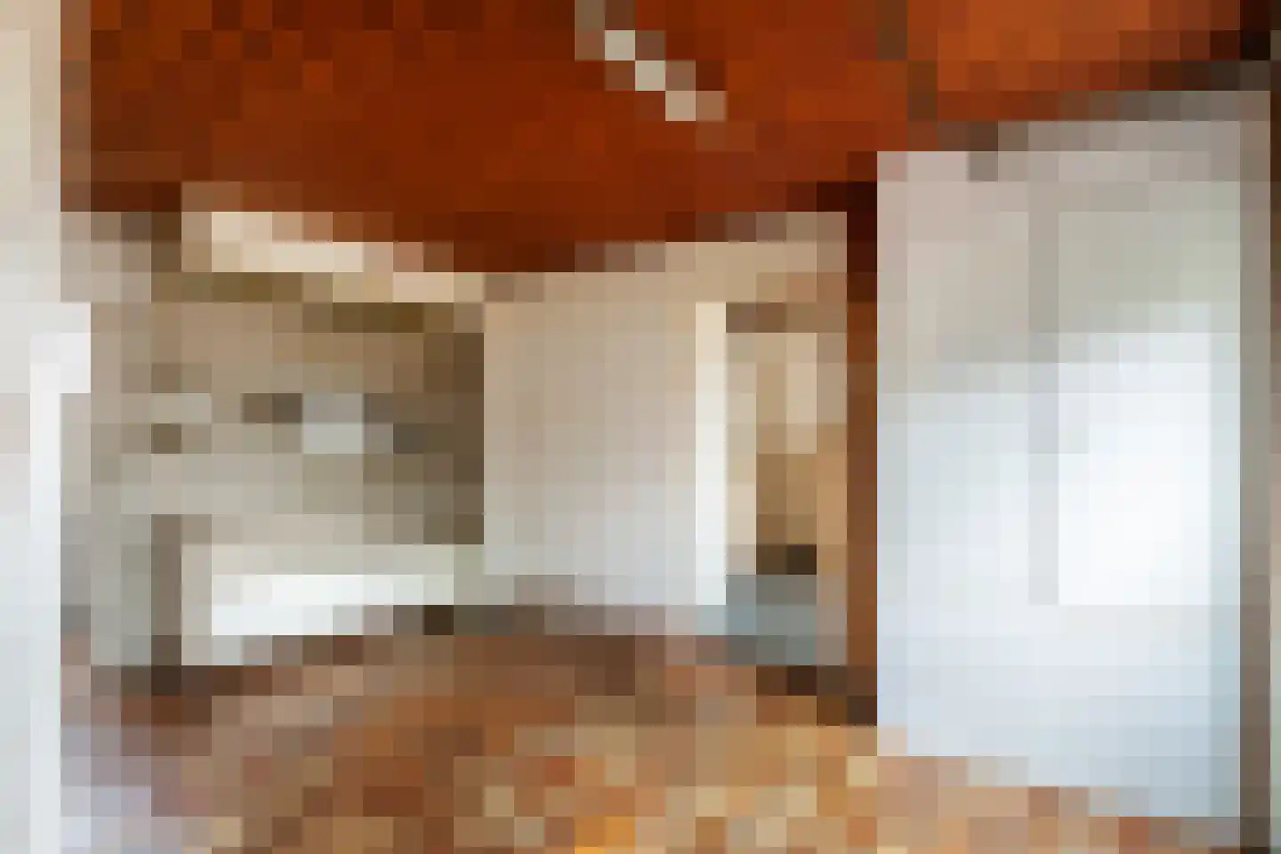 Brouwersstraat 5 Druten thumbnail 26