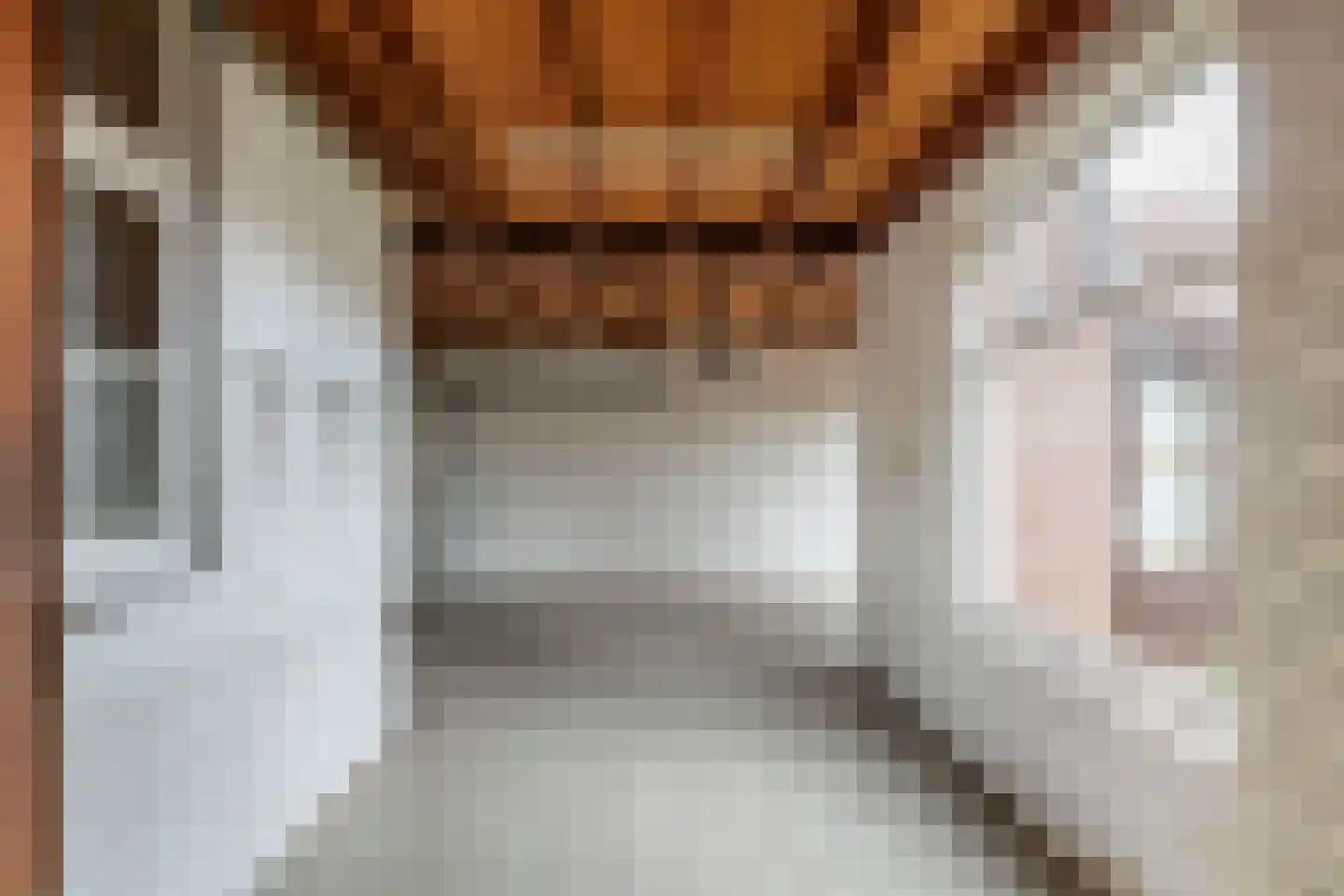 Brouwersstraat 5 Druten thumbnail 29