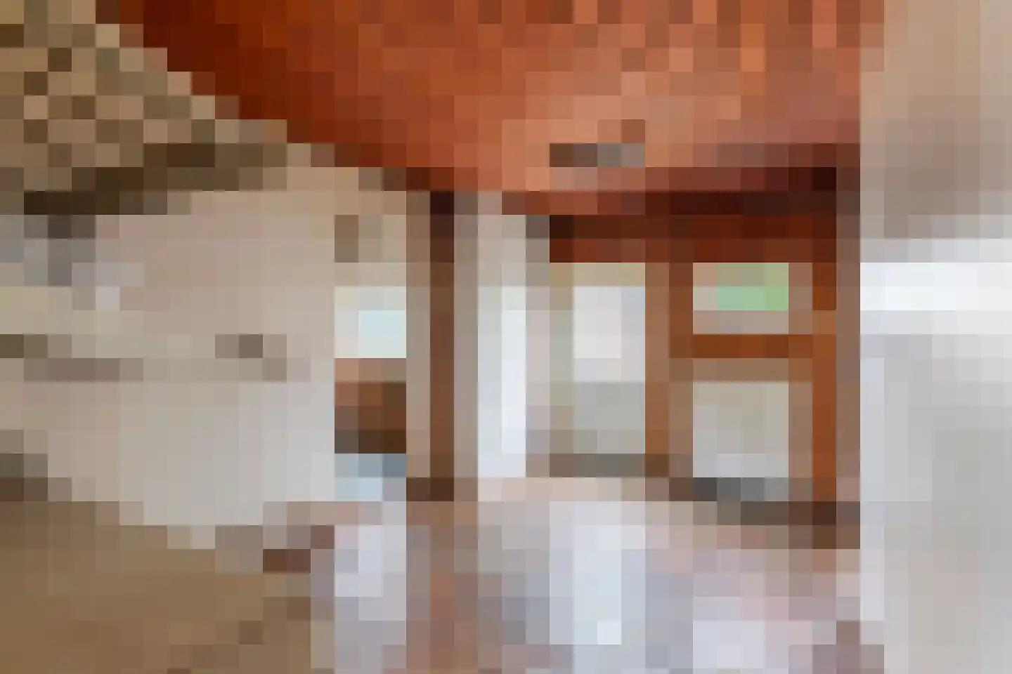 Brouwersstraat 5 Druten thumbnail 30