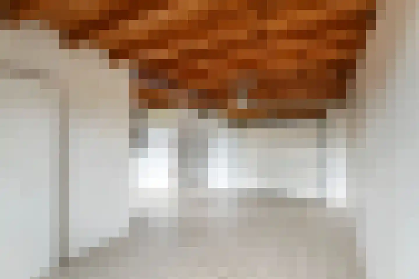Brouwersstraat 5 Druten thumbnail 32