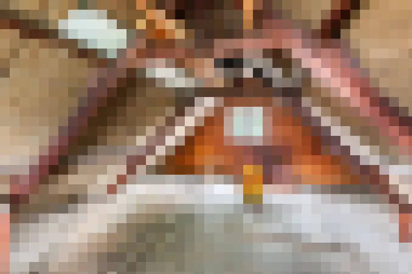 Brouwersstraat 5 Druten thumbnail 33