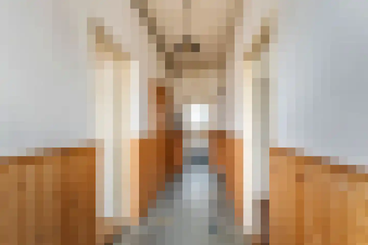 Brouwersstraat 5 Druten thumbnail 5