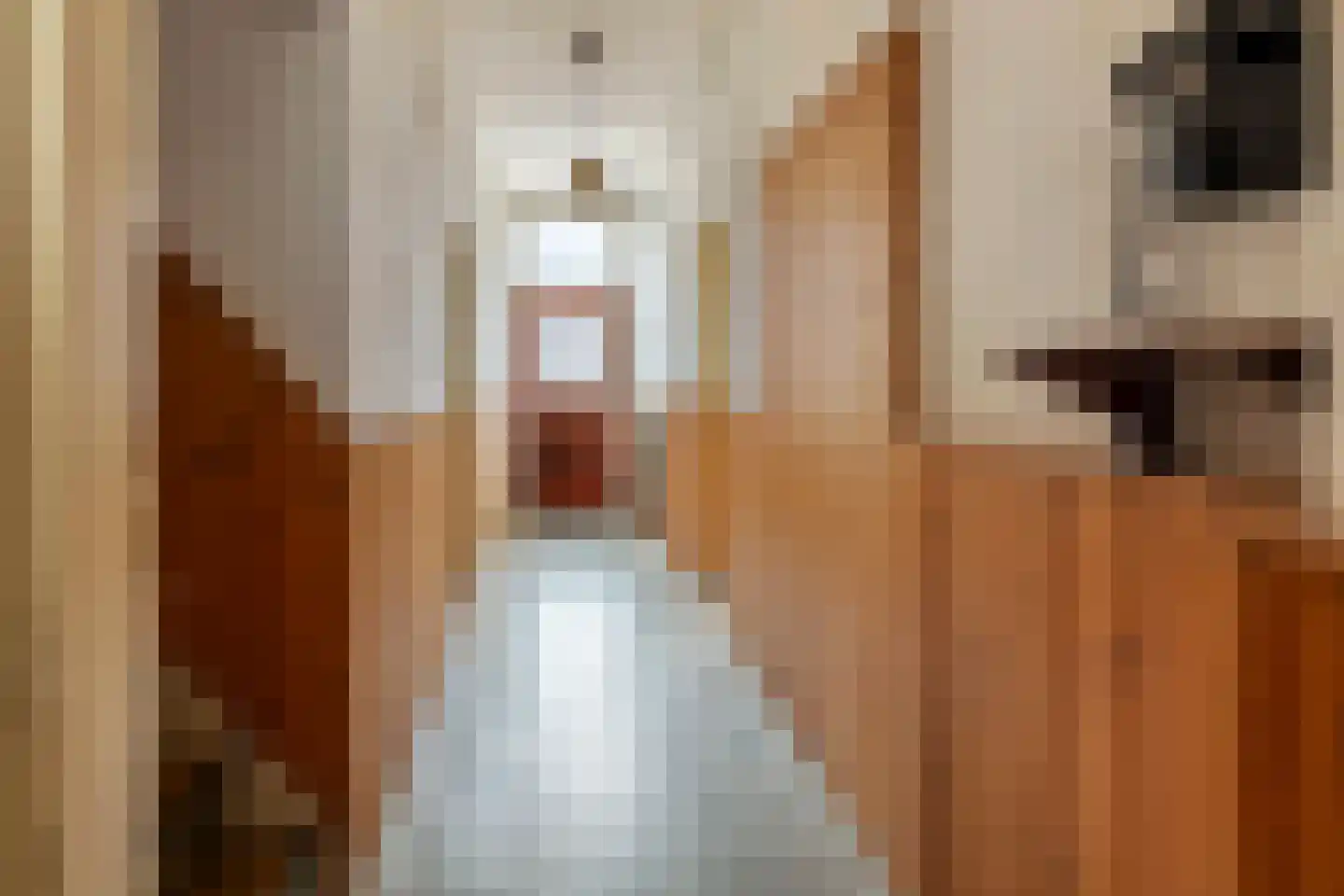 Brouwersstraat 5 Druten thumbnail 6