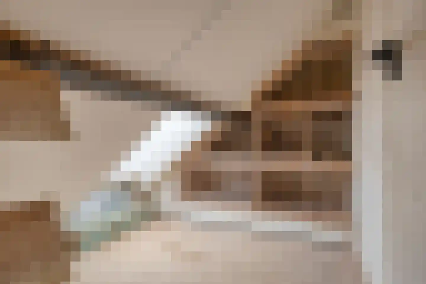 Brouwersstraat 6 b Beek en Donk thumbnail 29