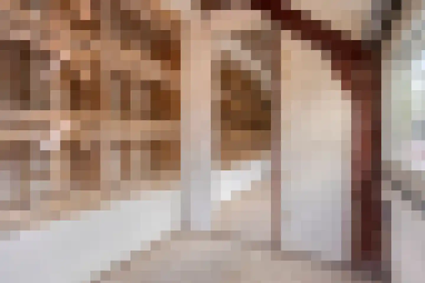 Brouwersstraat 6 b Beek en Donk thumbnail 30