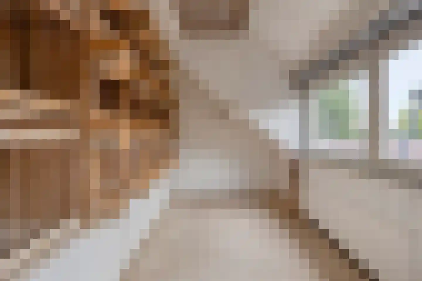 Brouwersstraat 6 b Beek en Donk thumbnail 31