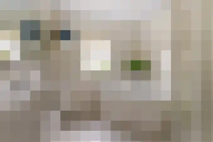 Brouwersstraat 6 Baarlo thumbnail 19