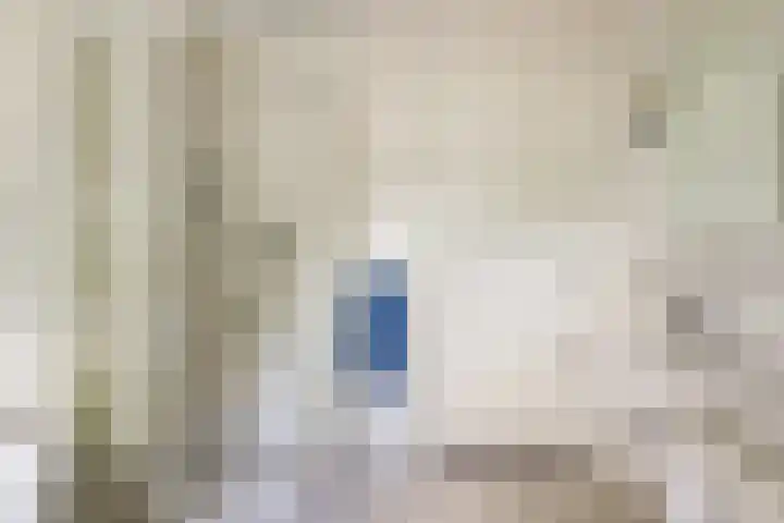 Brouwersstraat 6 Baarlo thumbnail 20