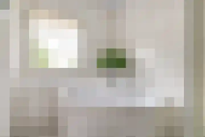 Brouwersstraat 6 Baarlo thumbnail 21