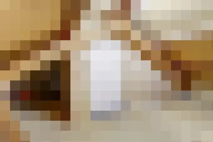 Brouwersstraat 6 Baarlo thumbnail 32