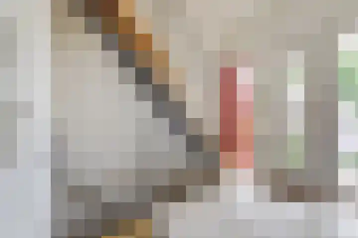 Brouwersstraat 6 Baarlo thumbnail 4