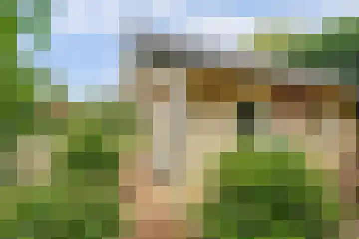 Brouwersstraat 6 Baarlo thumbnail 41