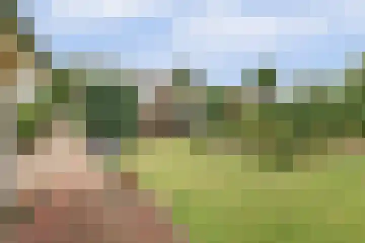 Brouwersstraat 6 Baarlo thumbnail 42