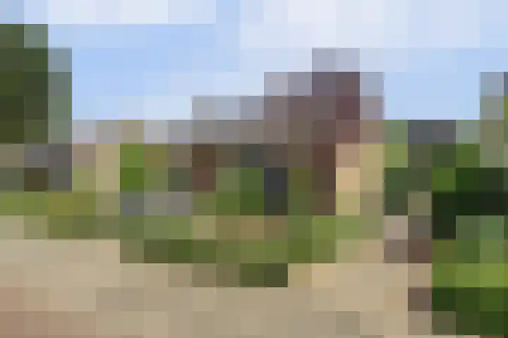 Brouwersstraat 6 Baarlo thumbnail 49