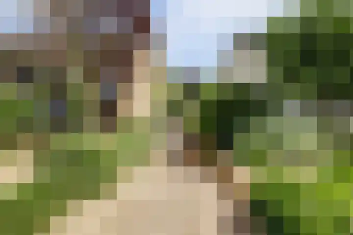Brouwersstraat 6 Baarlo thumbnail 51