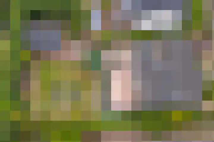 Brouwersstraat 6 Baarlo thumbnail 56