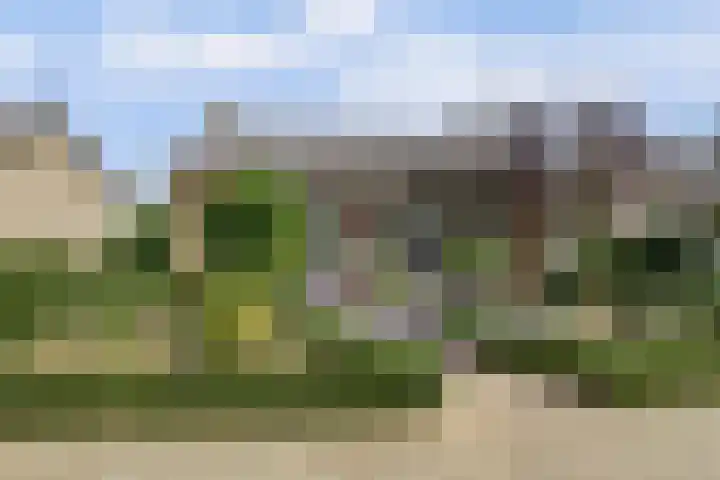 Brouwersstraat 6 Baarlo thumbnail 66