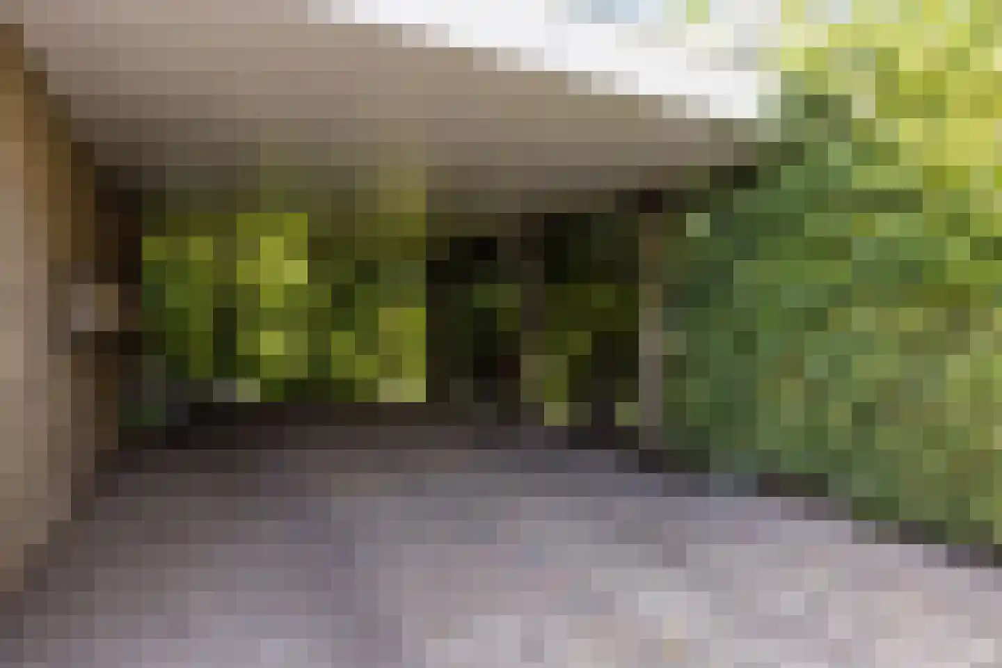 Brouwersstraat 6 Heeswijk-Dinther thumbnail 27